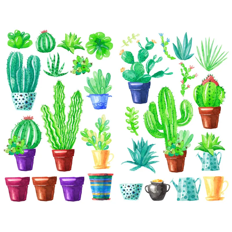 Autocollants de plantes cactus vertes succulentes