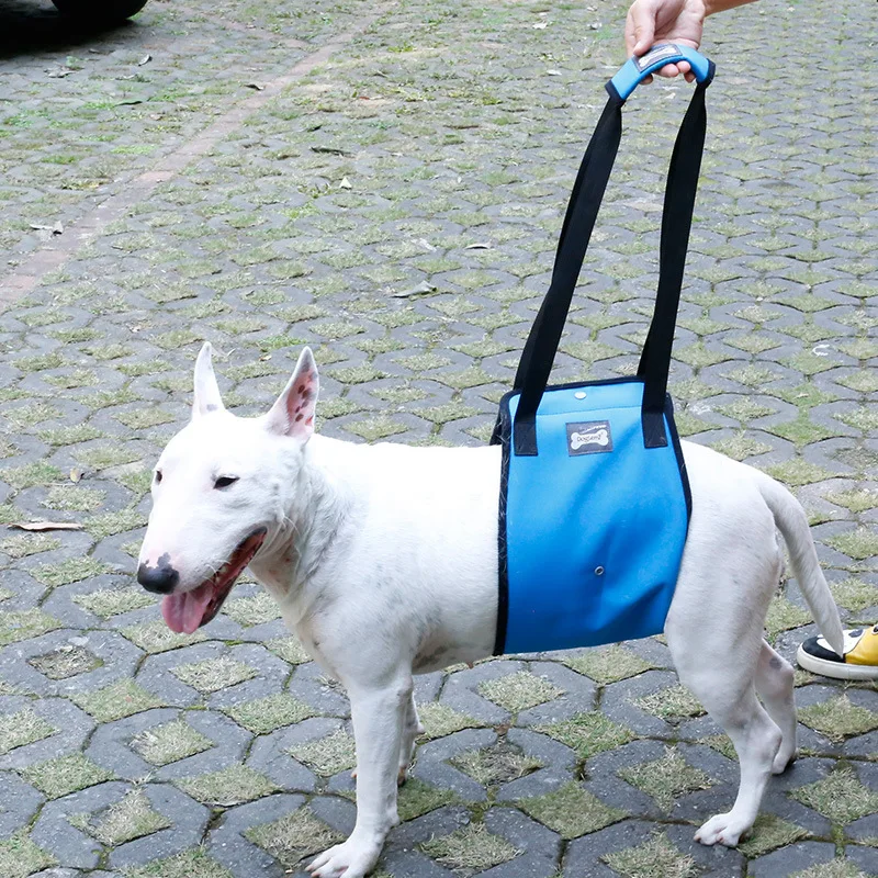 

Dole M Dog-Leg Auxiliary Suspender Strap Older Dog Hind Legs Injured Protection Dog Walker with Car Upstairs
