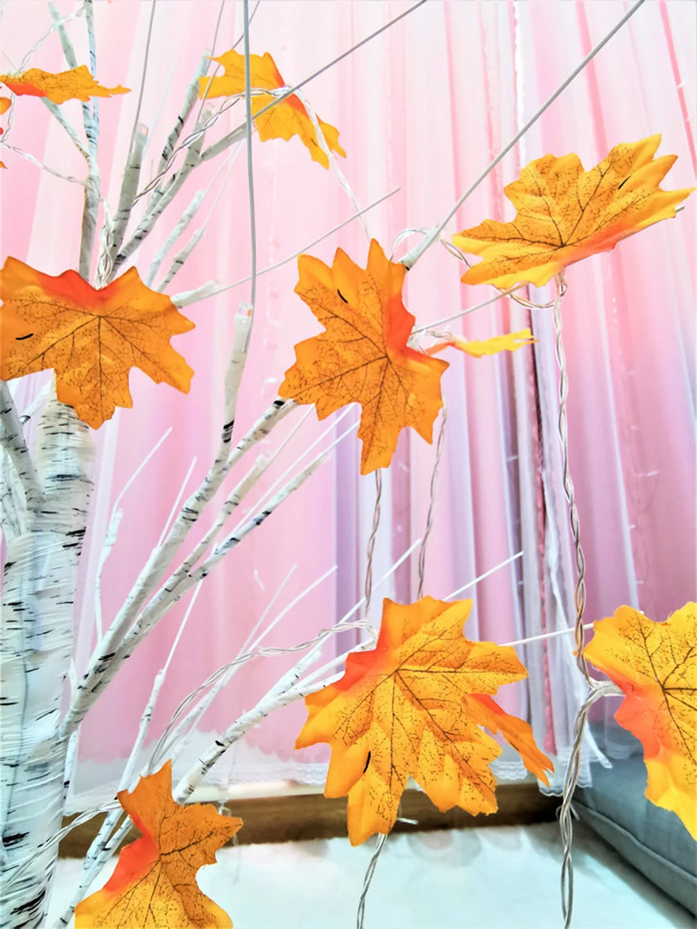 11677445561_1099349780