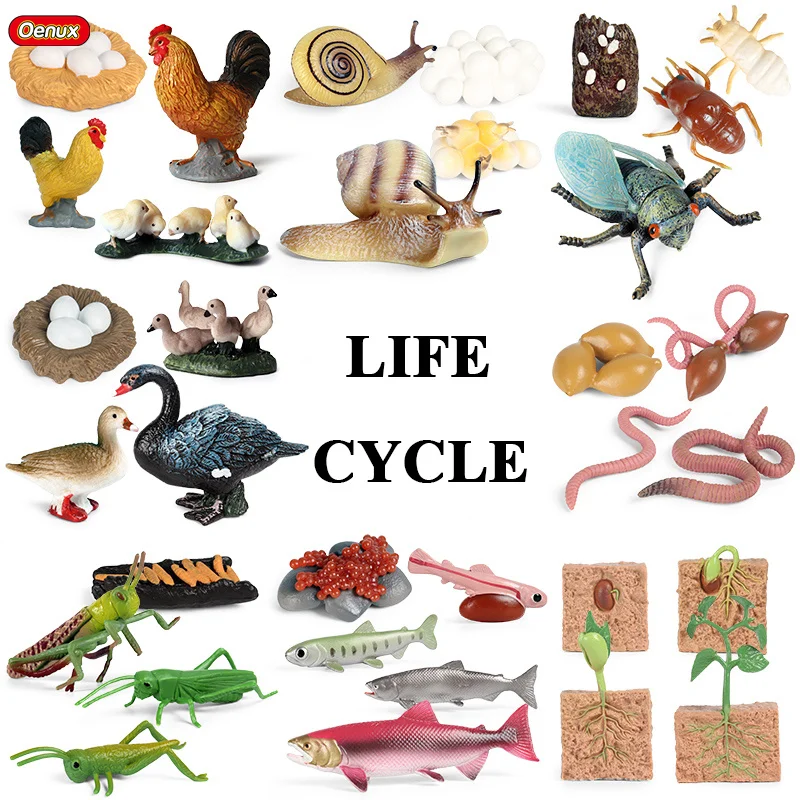 Oenux-figuras de acción de caracol y ganso para niños, nuevo modelo de ciclo de crecimiento de la vida, figuras de acción, figurita de bebé, juguete tierno para niños