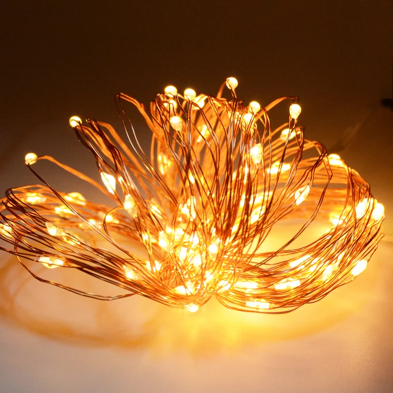 

DC 24V 30m 300 LED Outdoor Christmas Fairy Lights Warm White Copper Wire LED String Lights Starry Light+Power Adapter(