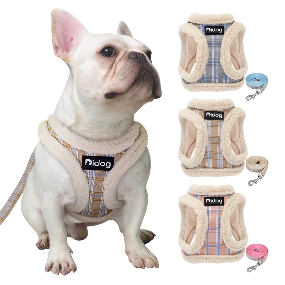 small dog harness and lead