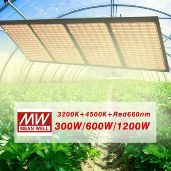

300W 600W 1200W phytolamp Quantum Technology Full spectrum Dimmable Led Grow Light 3200K+4500K+660nm for Indoor Veg and Flower