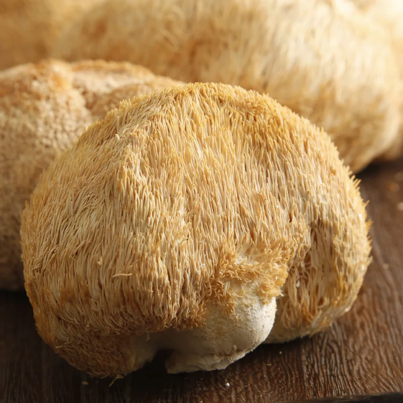 Lions Mane Hericium Erinaceus гриб сухие товары натуральный без серы Здоровая пища желудка