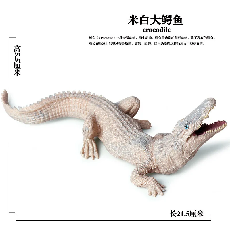 Модель сплошного дикого животного модель детской игрушки модель BoarCroc крокодил автомобиль монтируется украшения и украшения гаражный