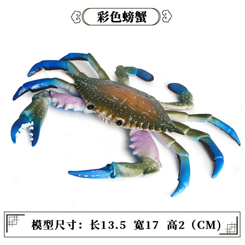 11300351206_1464955482