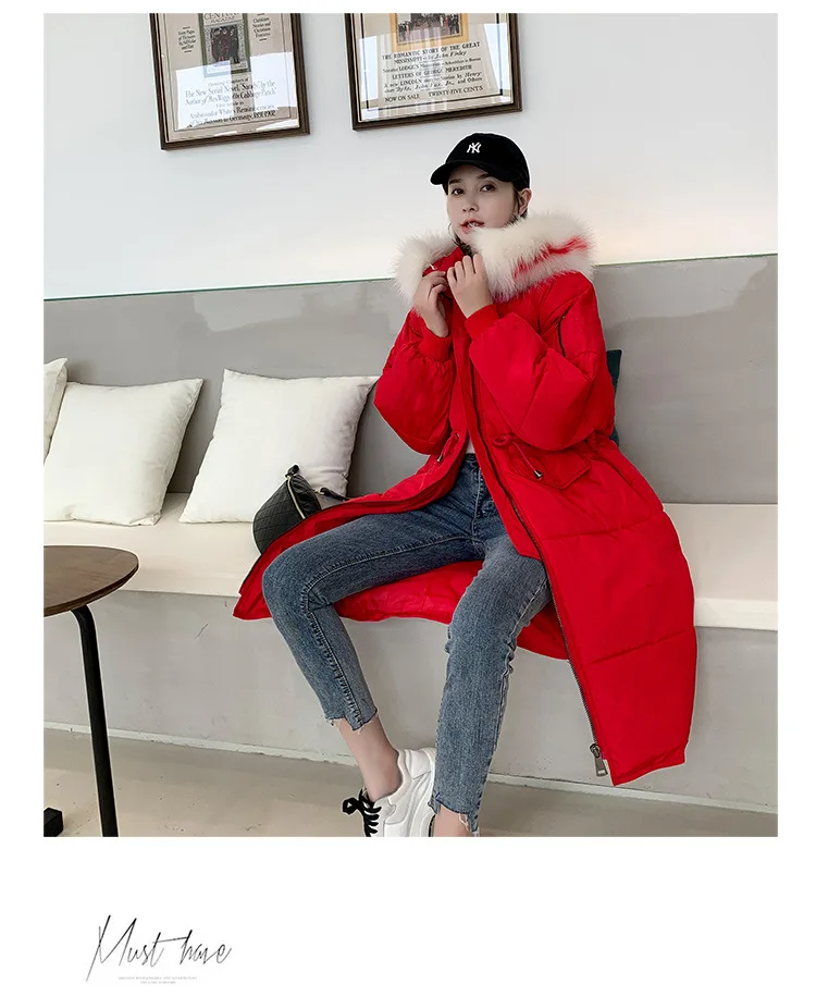 Cotton2_18.jpg