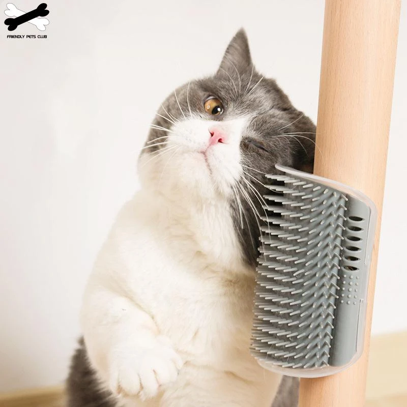 cat scratcher with brush