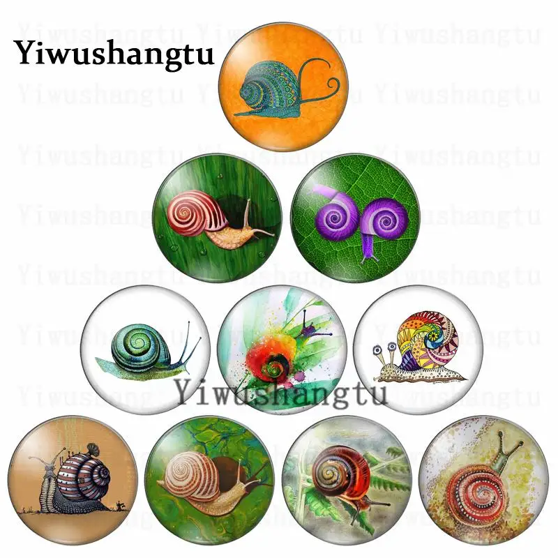 

Cute snail crawl animal upward life 12mm/20mm/25mm/30mm Round photo glass cabochon demo flat back Making findings