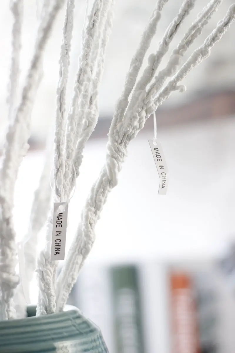 3124307899_773204859