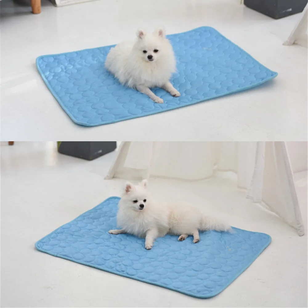 10971056651_122352460_副本