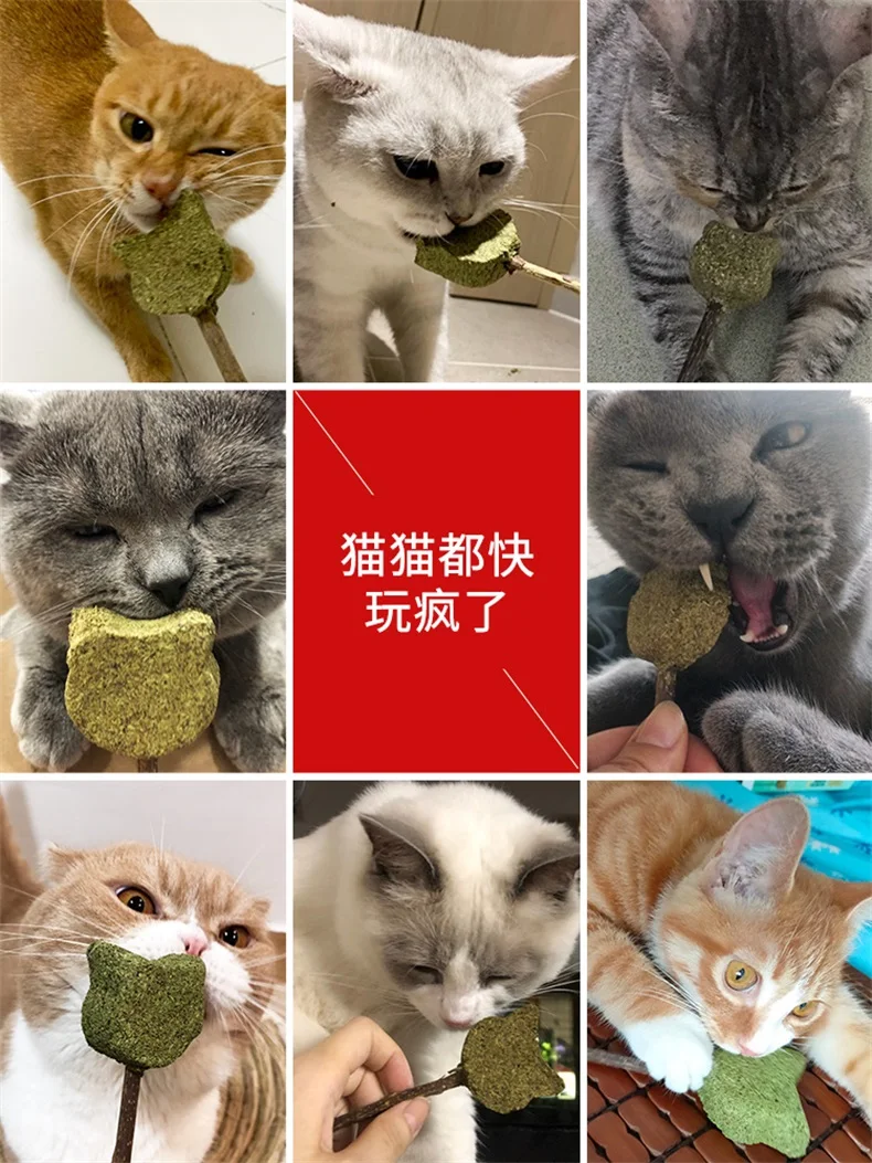 Xiaomi товары для домашних животных кошек Мятная зубная паста палочка кошачья мята натуральная мутианская палочка кошачий леденец кошки котята жевательные закуски