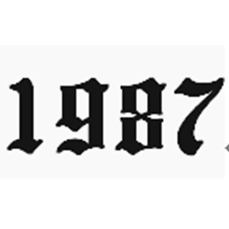 1987 Нержавеющая сталь год номер на заказ кольцо для женщин золотые, серебряные кольца женские розы кольцо Anillos Mujer номер обручальное кольцо ювелирные изделия - Цвет основного камня: 1987