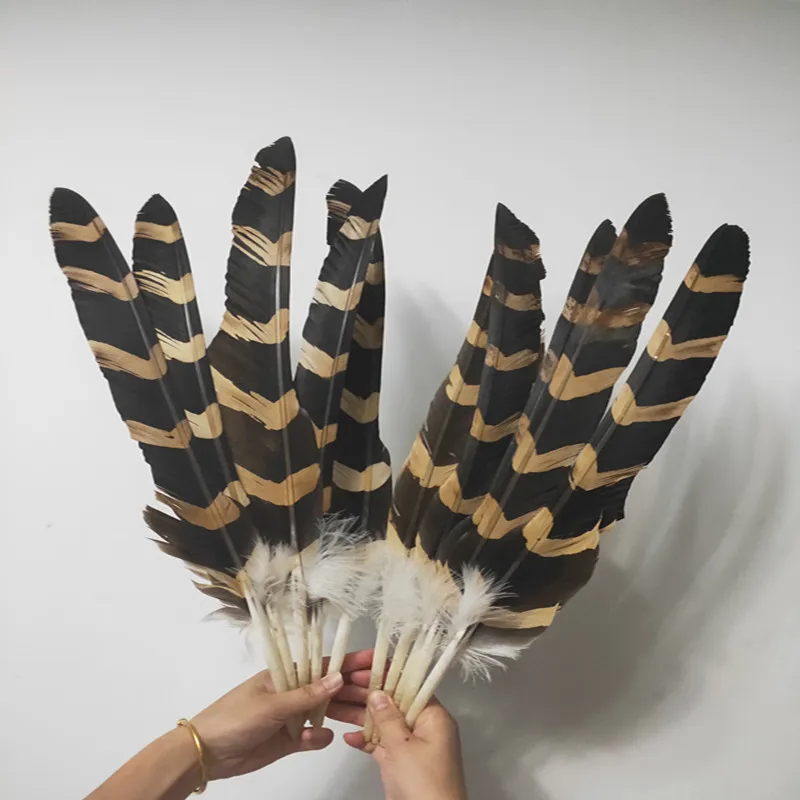10pcs Natural Eagle Feathers 22-26inches/55-65cm Top Quality Eagle Bird Feathers For Crafts Wedding Decoration Diy Jewelry Plume