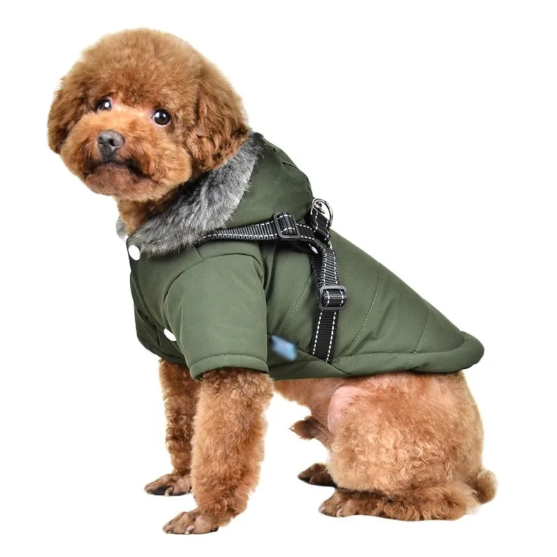 LX2543G (4) - 副本