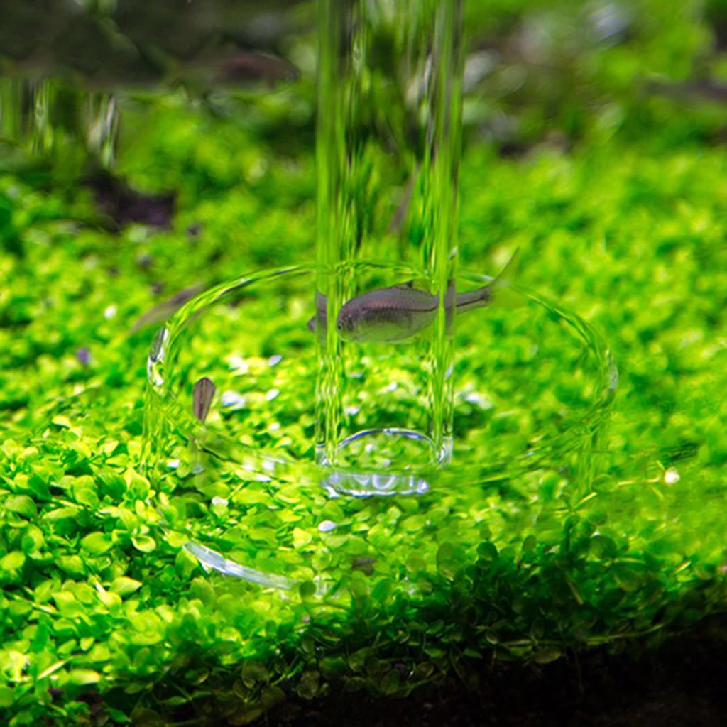 Glass Aquarium Feeding Dish + 300 MM Glass Tube Shrimp Feeder with Suction Cup Fish Tank Transparent Equipment