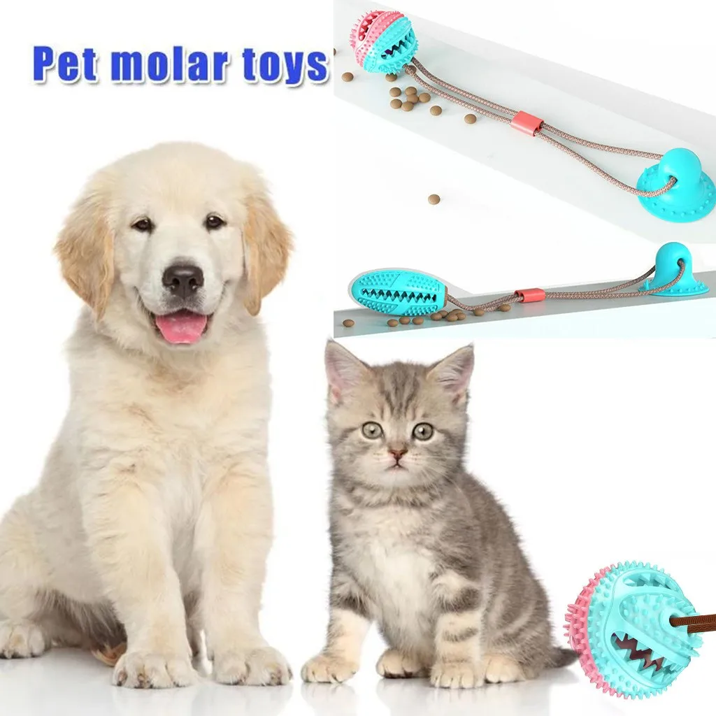 Молярная игрушка для домашних животных, товары для домашних животных, молярный самоиграющийся TPR мяч с присоской для чистки зубов, нетоксичный#4