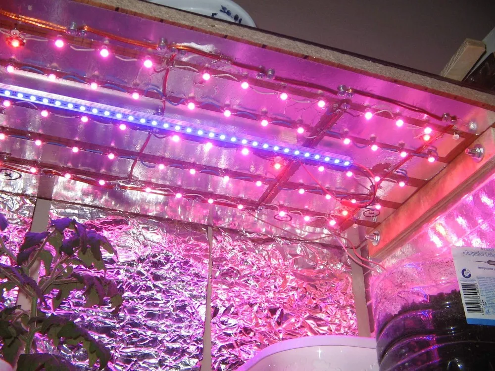 UT8x_SQXzVXXXagOFbXI