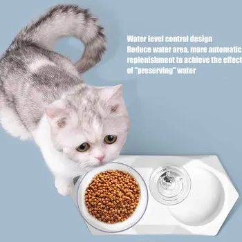 

Pet Accessories Feeding Dogs Cat Bowl Set PP Rhombus 15 Degree Tilted Home Drinking Automatic Water Dispenser Adjustable Raised
