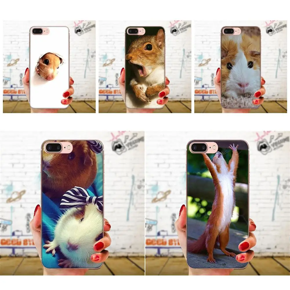 TPU Live Love Phone белка арахис мышь для huawei P7 P8 P9 P10 P20 P30 Lite Mini Plus Pro Y9 Prime P Smart Z