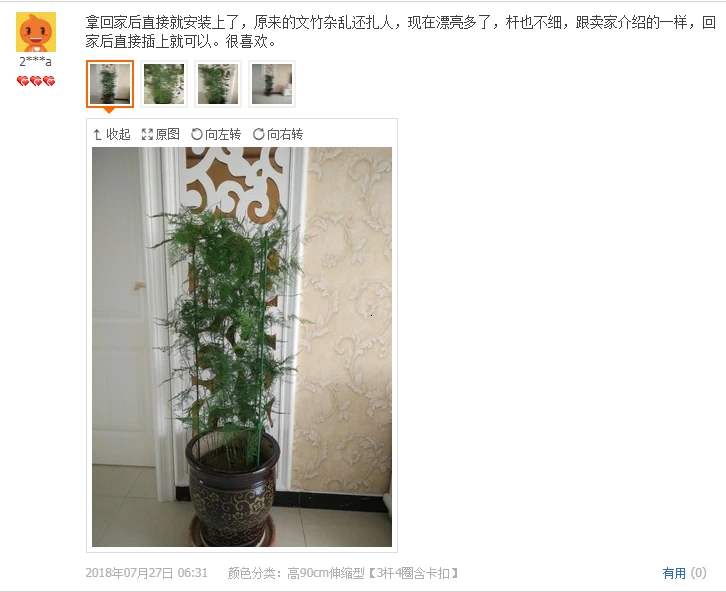 Крытый китайский цветок розы кронштейн Clematis лотоса для подъема каркасный кронштейн