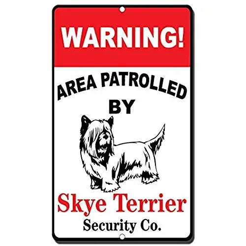 Алюминиевая металлическая вывеска, обнаруженная здесь ночью, обнаруженная в утренние новинки, дорожная картина «металлические номерные знаки» Оловянная вывеска, Настенная декоративная доска в стиле ретро - Цвет: S273
