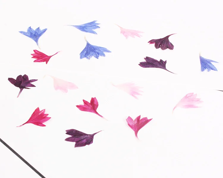 Description Picture 6 of item40PCS,Nature Pressed Flower,Real Touch Cornflower Petals,DIY Wedding invitations Craft Bookmark Gift Card,Flores Facial Decor