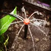 Garden Supplies