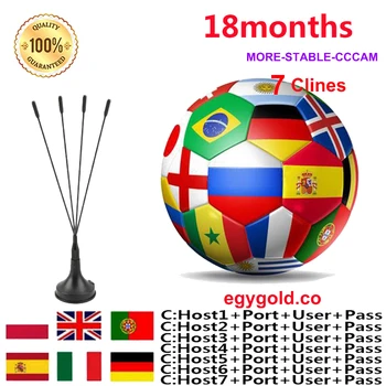

1 Year Europe Cccam Clines Egygold Server For SPAIN Portugal Germany Poland Ccams For Satellite Receiver GTmedia V8 V9 Freesat
