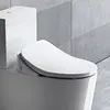 Ecofresh Intelligent Toilet Seat Electric Bidet Cover Smart Bidet heated toilet seat Led Light Wc smart toilet seat lid ► Photo 3/6