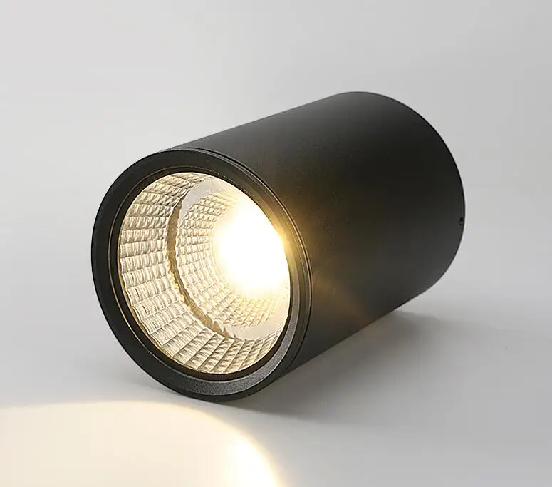 Waterproof Ip65 Round high power led ceiling lamp surface mounted 7W 12w 20w 30w COB ceiling light AC90-265V RA>90