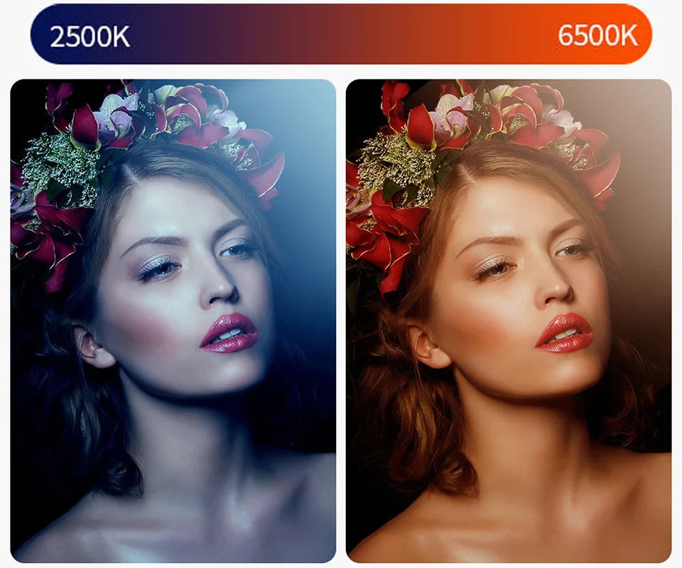 Cheap Iluminação fotográfica