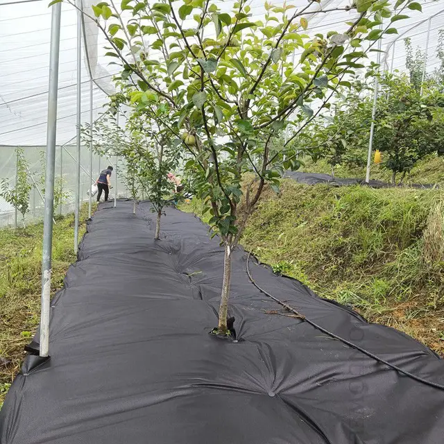 Testreszabhatja A Szélességet 1,5M 4,92 Ft 90Gsm Pp Mezőgazdasági Üvegházhatású Gyomházat Kontroll Jó Szellőzésű Gyümölcsös Fák Növények Borítás - Image 6
