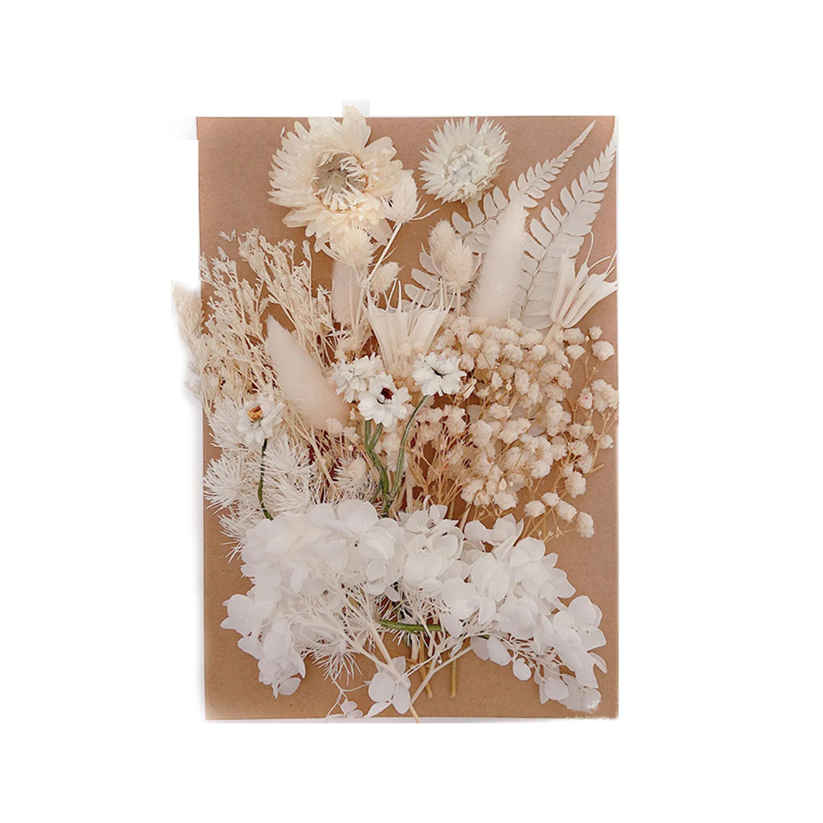 wholesale natural dry pressed flowers handmade