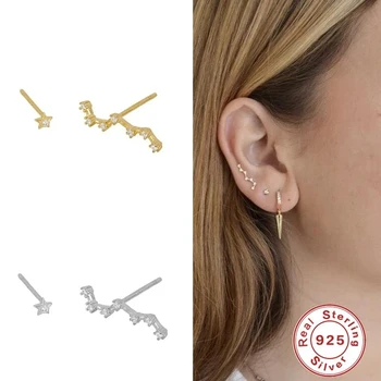 

CANNER 100% 925 sterling Silver Stud Earrings for Women Small Star Zircon Piercing Earring Gold Color Crystal Earings Jewelry