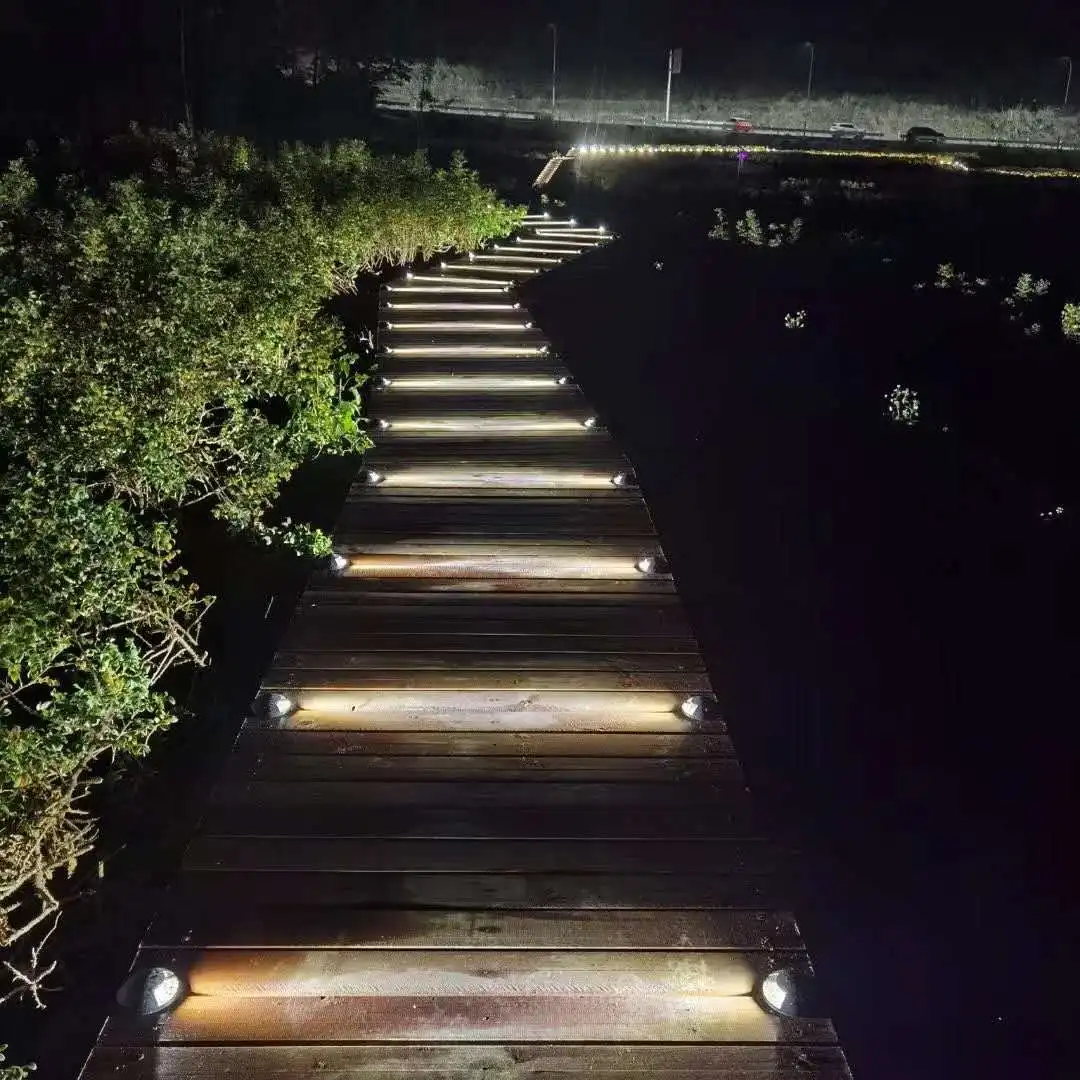 ambiente externo, caminho de jardim, chão, quintal, ponto de luz, paisagem