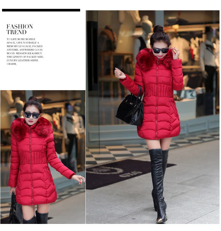 2451364965_1570061270