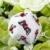 Funny Sex Erotic Dice 12 Side No Vibrator Erotic Crap Sex Love Light Cube Love Dice Toy Luminous Couple Dice Game Adult Sex Toy