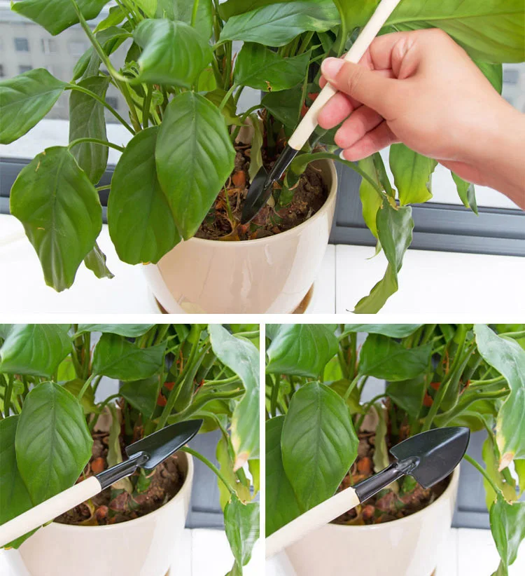 Slide image 250cd56097e94c678b8614ff1bdd7840