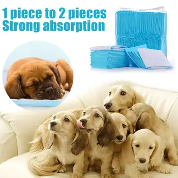 

20/40/50/100pcs Dog Training Pee Pads Super Absorbent Pet Diaper Disposable Healthy Clean Nappy Mat Pets Dairy Diaper Supplies