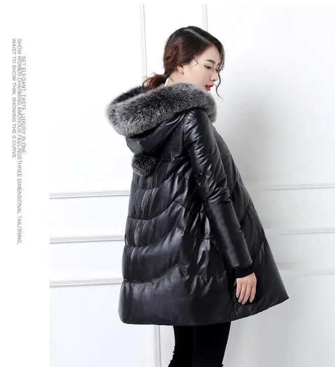 QQ0803100627
