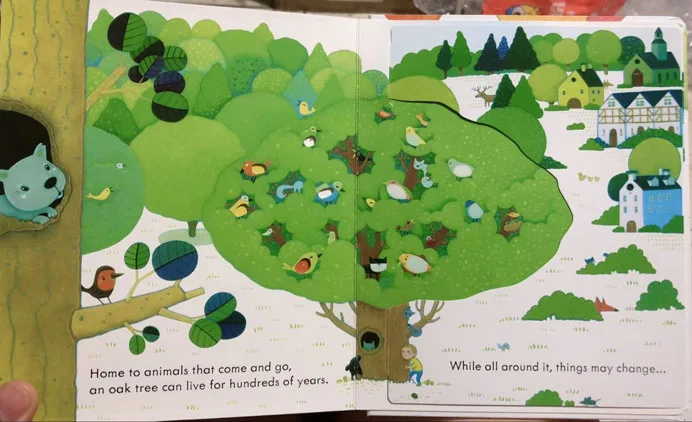 Usborne книги открытые внутри дерева английские развивающие 3d книжки с откидным