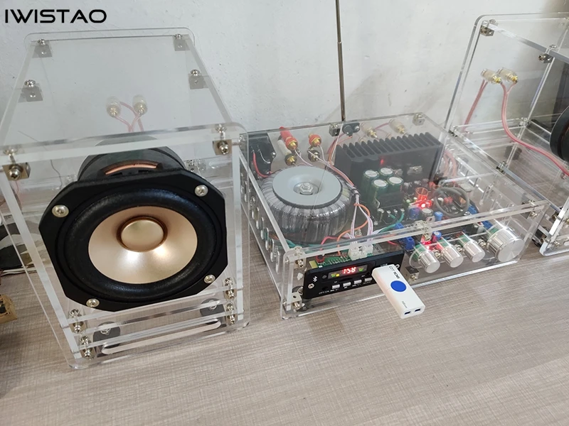 IWISTAO SHIFI 4 Inches Full Range Transparent