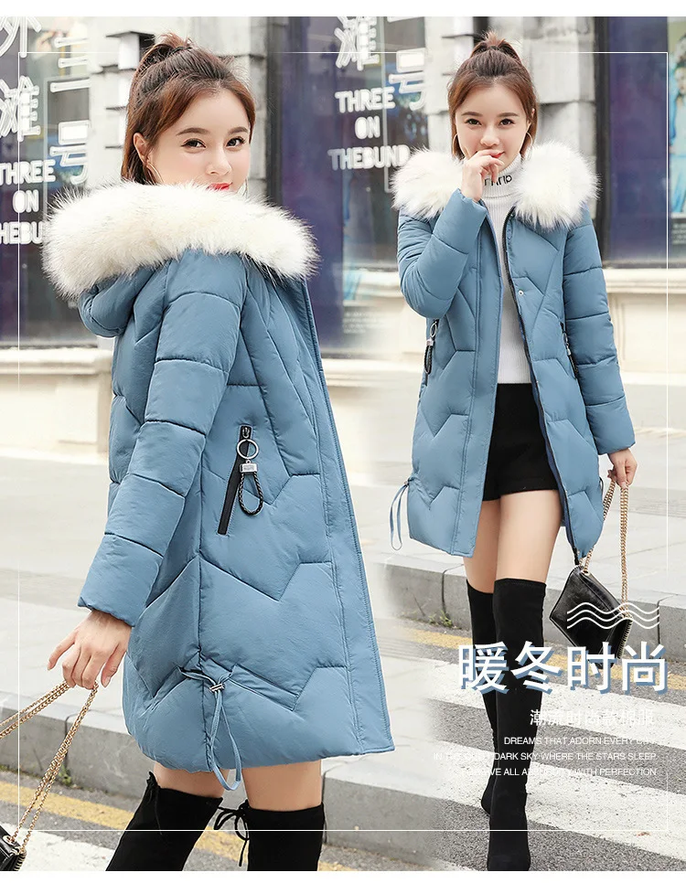 Cotton_02.jpg