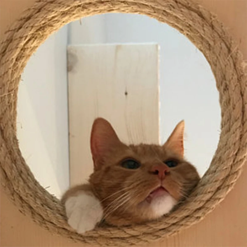 as picture Wall-mounted Cat Standing Post Cat Tree Hammock Pet Furniture - Цвет: as picture