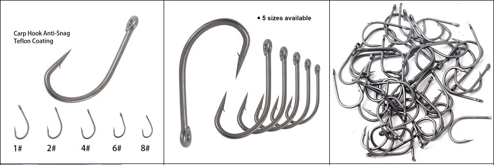 H0965955699ca4380909c36f21800f749g