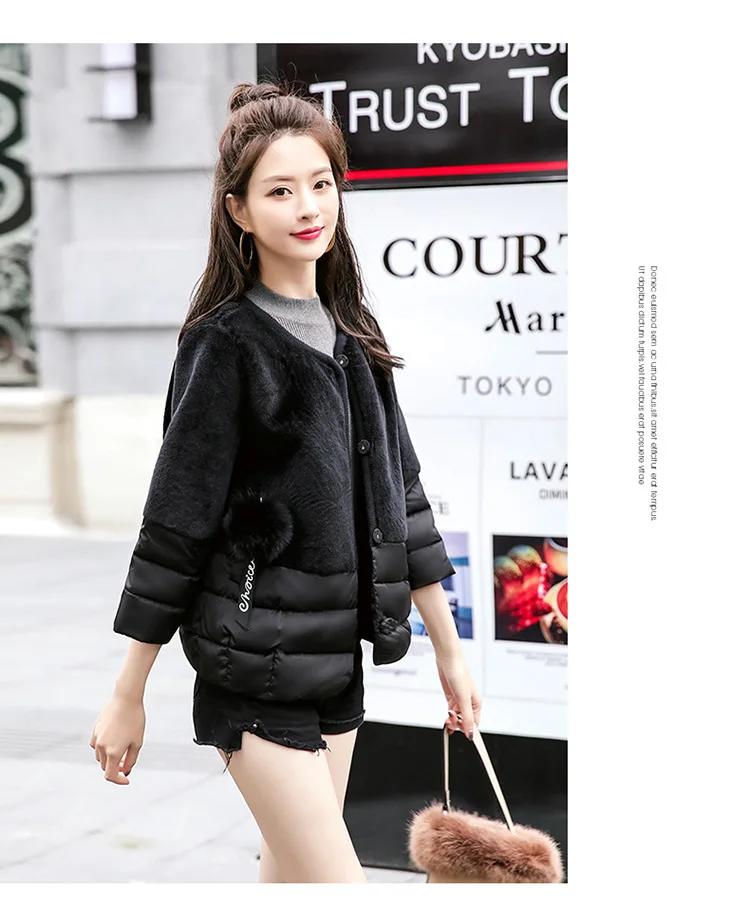 Thin Cotton-padded Clothes Women's Short New Style Autumn And Winter Cotton Coat Korean-style Small Short Cocoon Cotton-pad