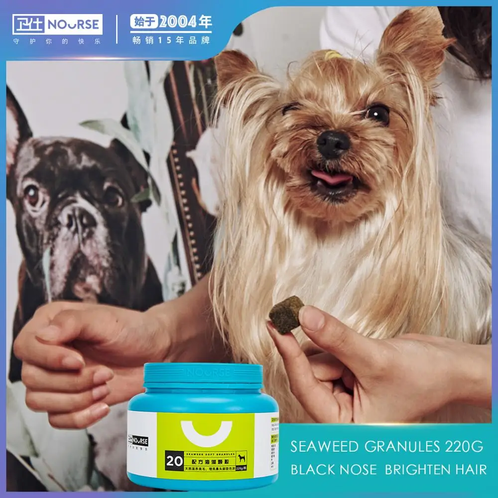 Can You Give Dogs Seaweed