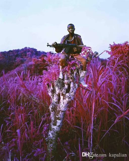 Richard Mosse Infra Higher Ground Art Poster Print