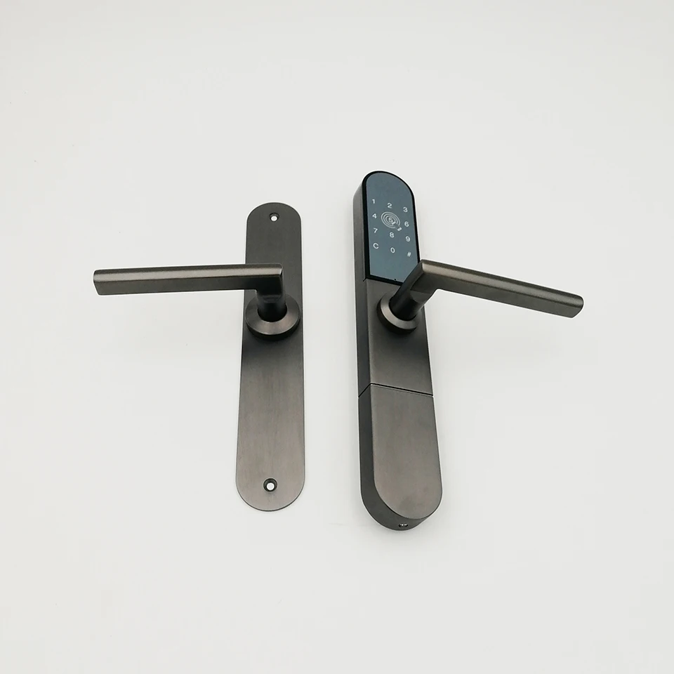 Интернет-пульт дистанционного управления bluetooth Сенсорный экран евро профиль многоточечный умный цифровой дверной замок